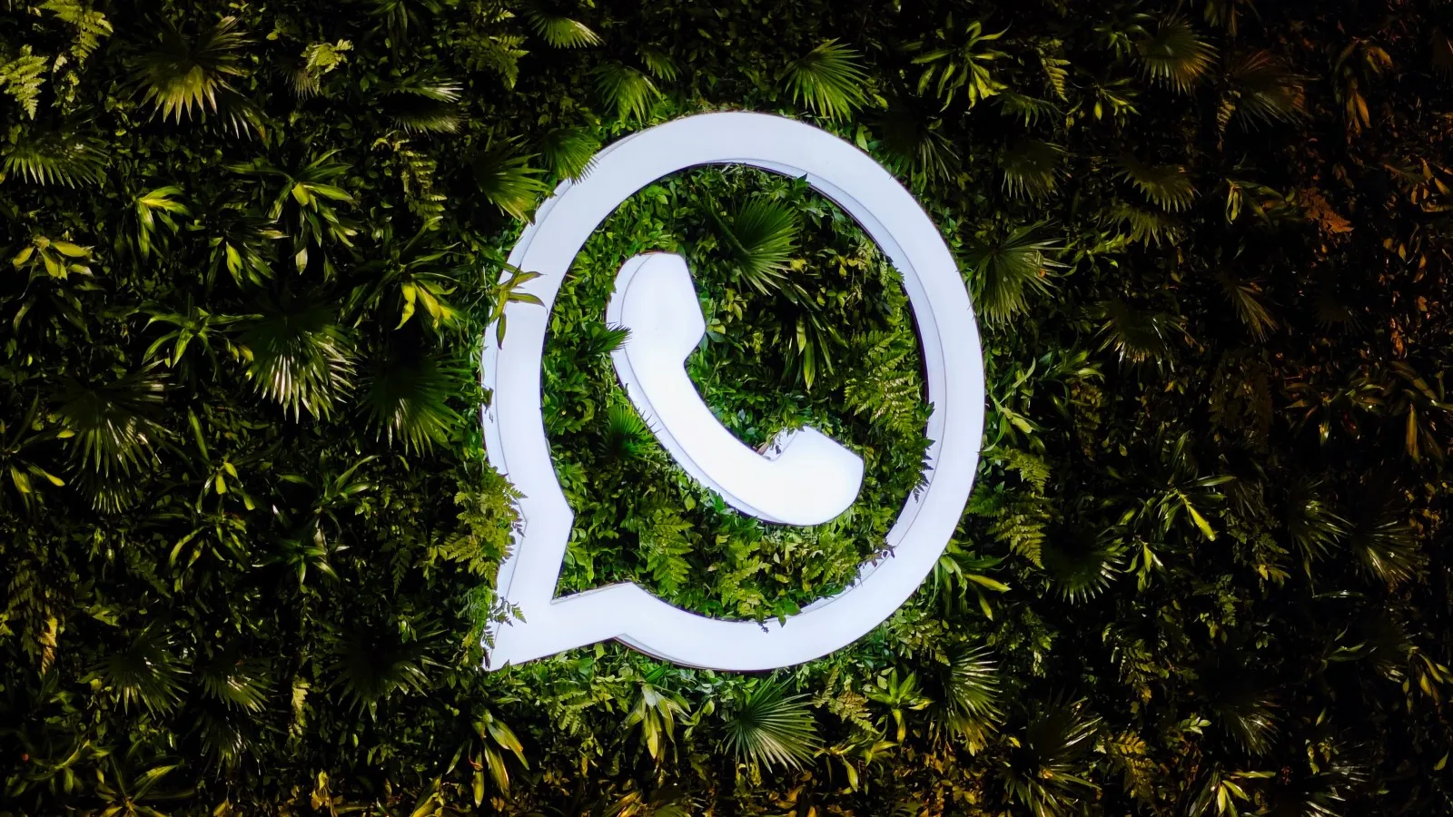 WhatsApp Coexistence Limitations: What You Need to Know
